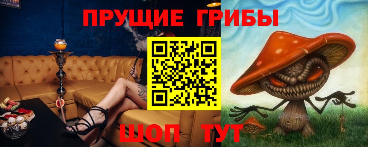 Псилоцибиновые грибы Cubensis Нефтекамск